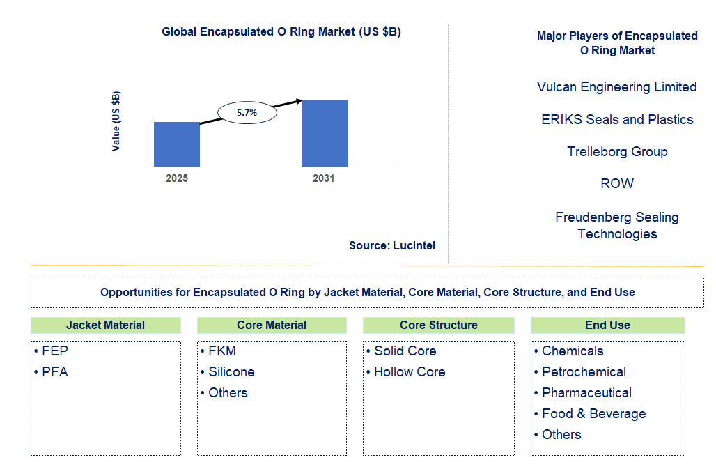 Encapsulated O Ring Market Trends and Forecast