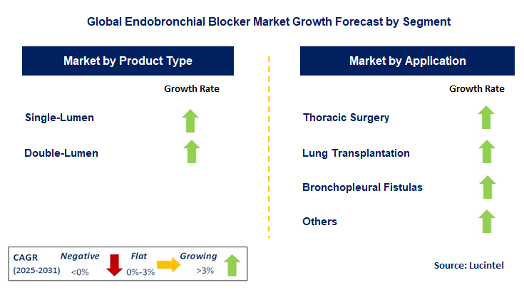 Endobronchial Blocker Market by Segment