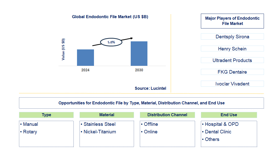 Endodontic File Trends and Forecast