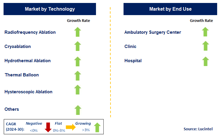 Endometrial Ablation Devices by Segment