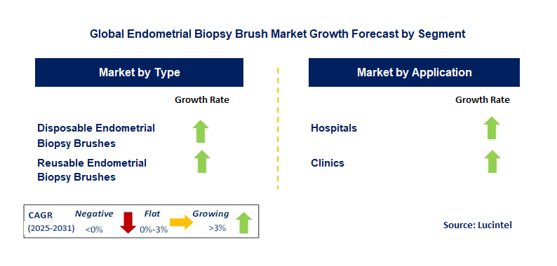 Endometrial Biopsy Brush Market by Segment