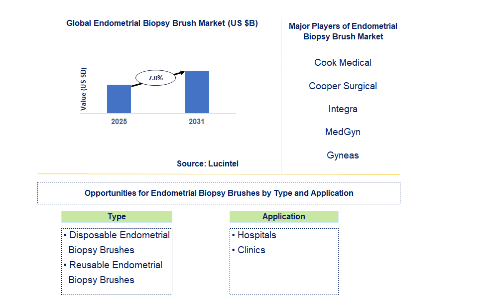 Endometrial Biopsy Brush Market Trends and Forecast