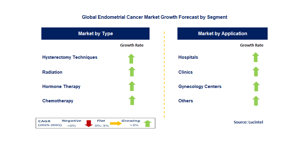 Endometrial Cancer Market by Segment