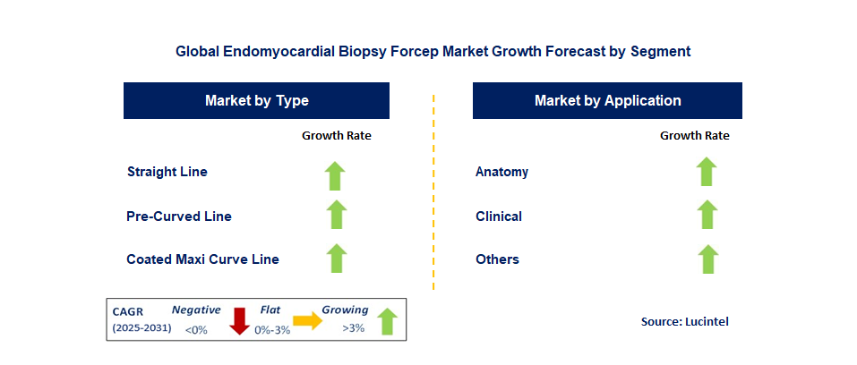 Endomyocardial Biopsy Forcep Market by Segment