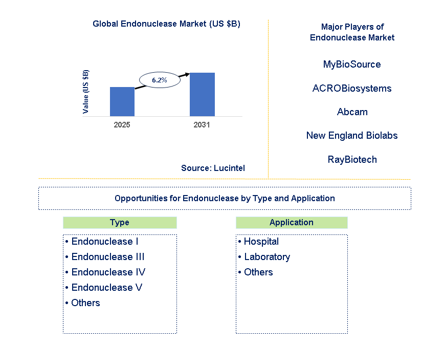 Endonuclease Market Trends and Forecast