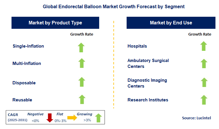 Endorectal Balloon Market by Segment