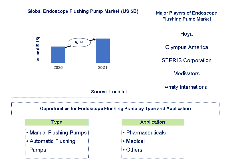 Endoscope Flushing Pump Market Trends and Forecast