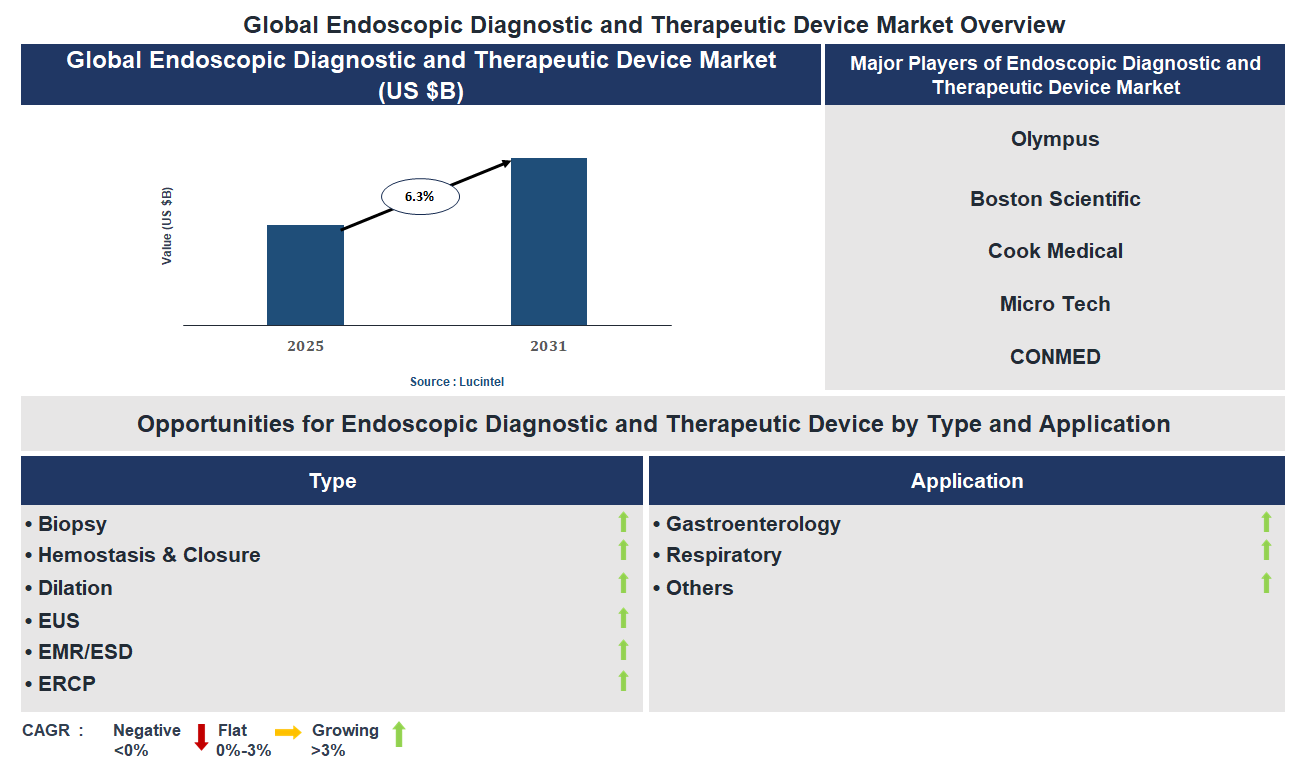 Endoscopic Diagnostic and Therapeutic Device Market Trends and Forecast
