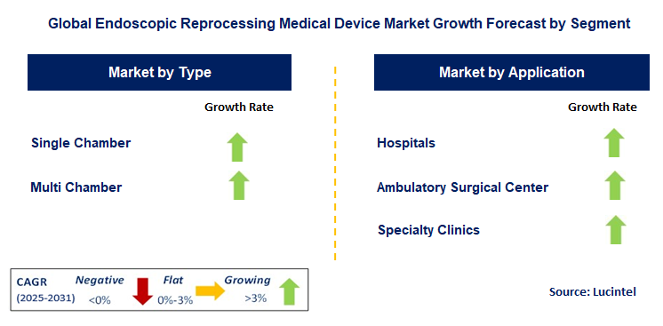 Endoscopic Reprocessing Medical Device Market by Segment