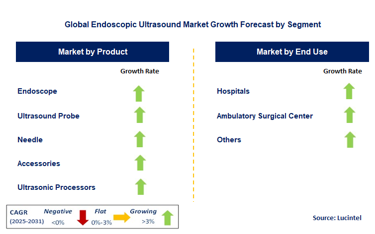 Endoscopic Ultrasound Market by Segment