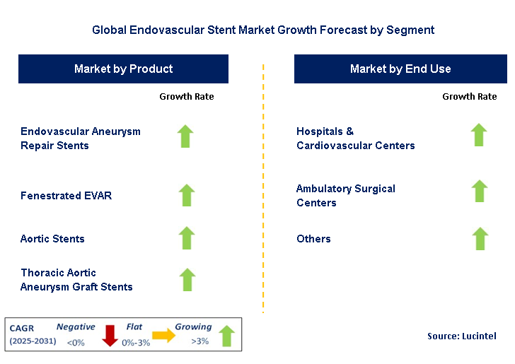 Endovascular Stent Market by Segment