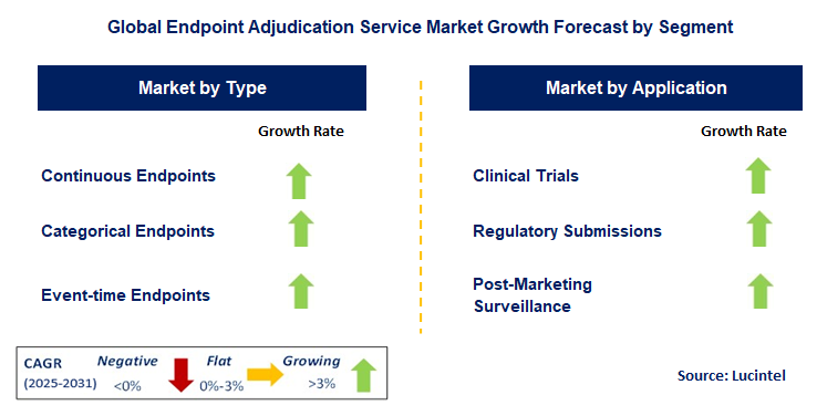 Endpoint Adjudication Service Market by Segment