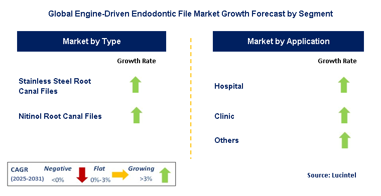 Engine-Driven Endodontic File Market by Segment