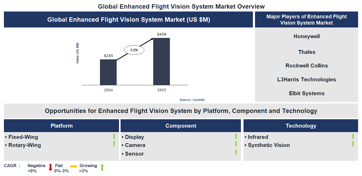 Enhanced Flight Vision System Market Trends and Forecast Enhanced Flight Vision System Market Trends and Forecast