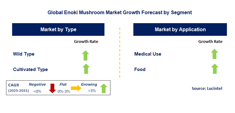 Enoki Mushroom Market by Segment