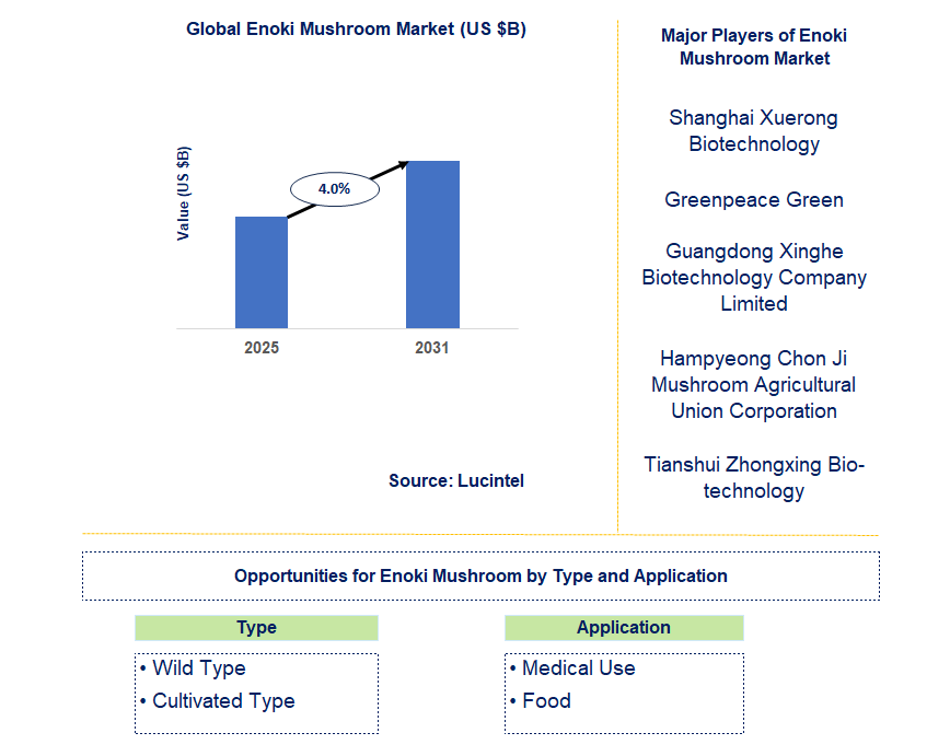 Enoki Mushroom Market Trends and Forecast