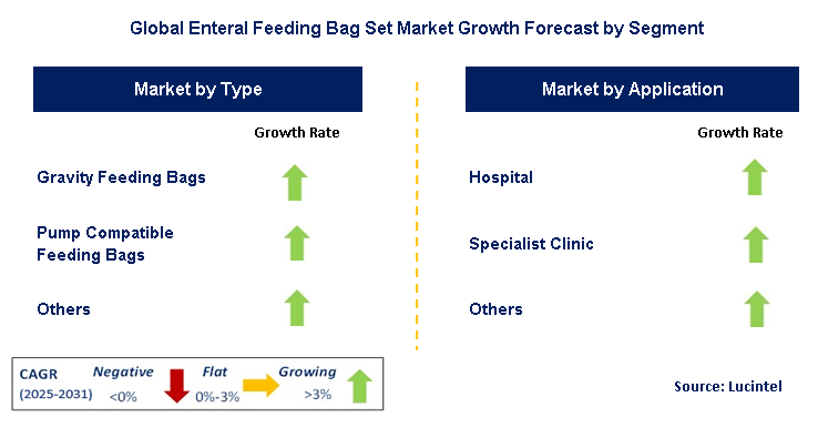 Enteral Feeding Bag Set Market by Segment