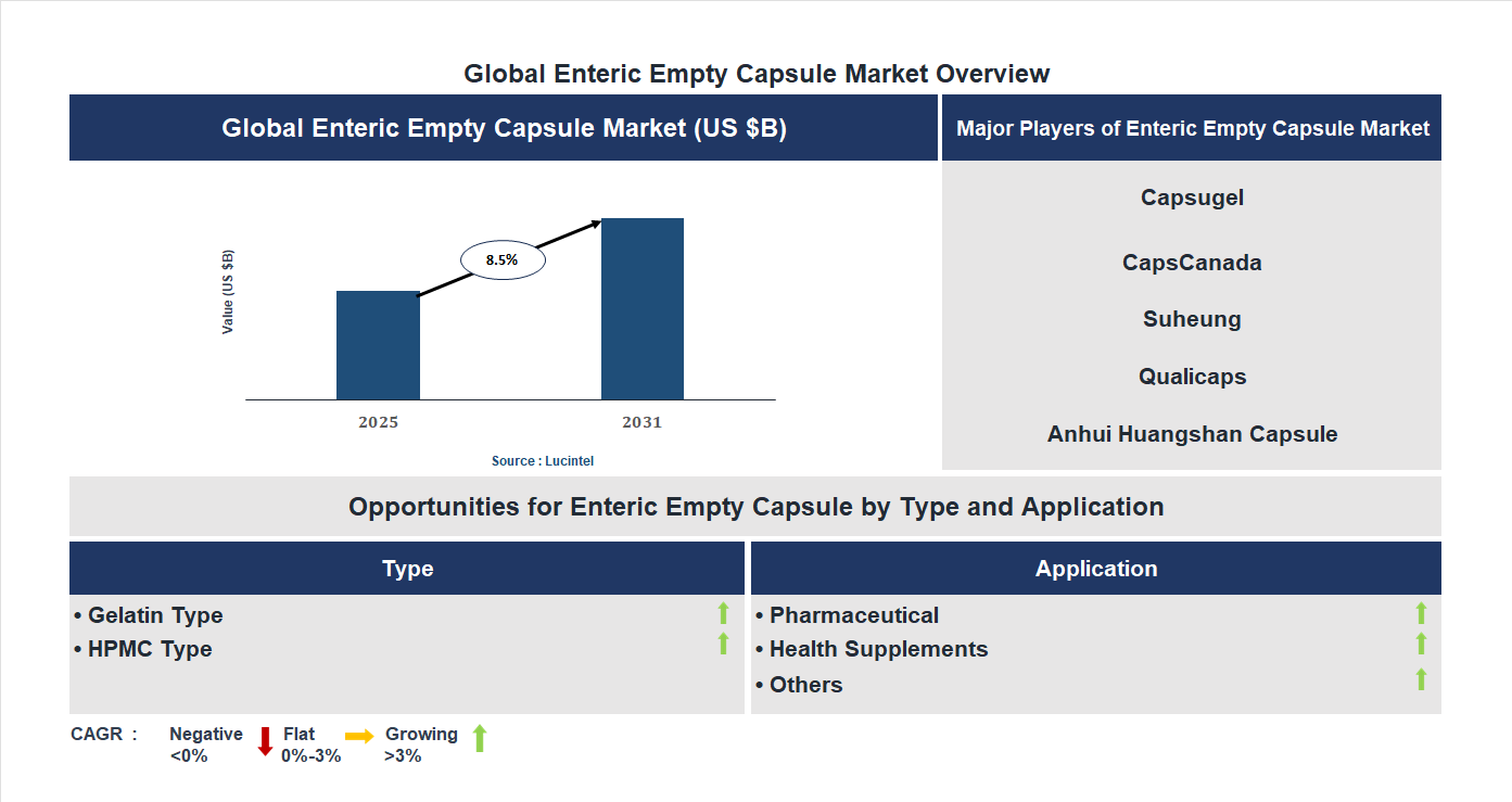 Enteric Empty Capsule Market Trends and Forecast Enteric Empty Capsule Market Trends and Forecast