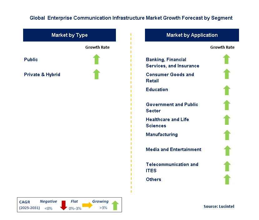  Enterprise Communication Infrastructure Market by Segment