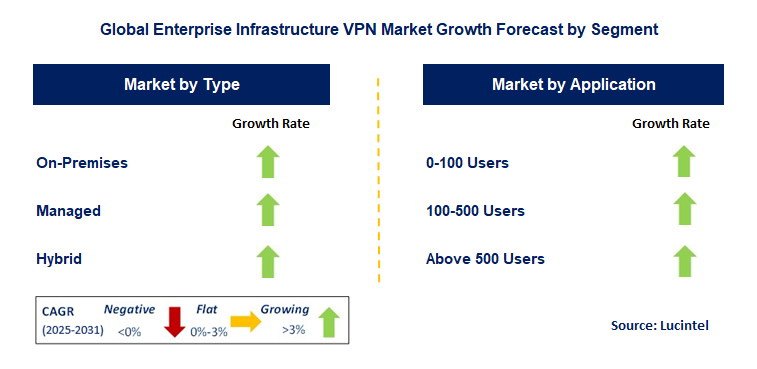 Enterprise Infrastructure VPN Market by Segment