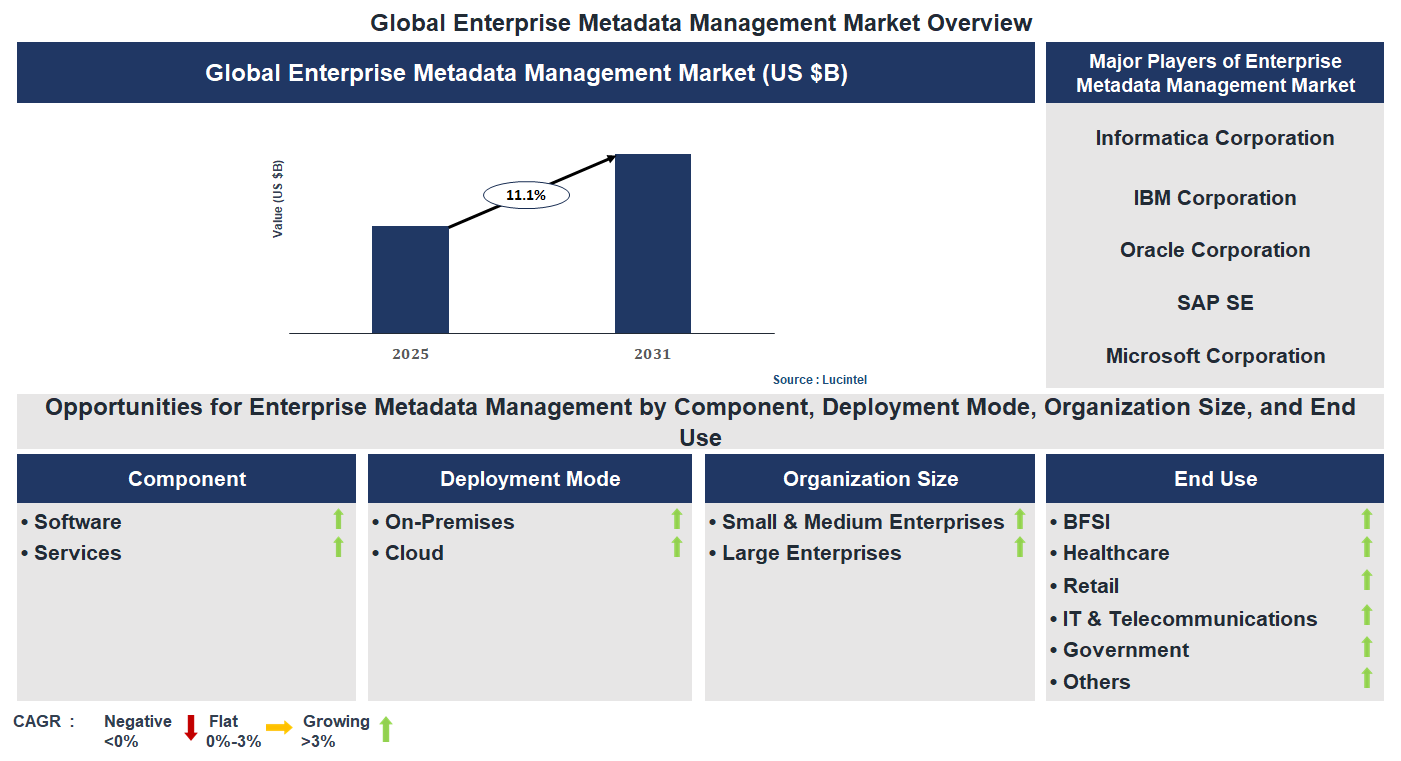 Enterprise Metadata Management Market Trends and Forecast