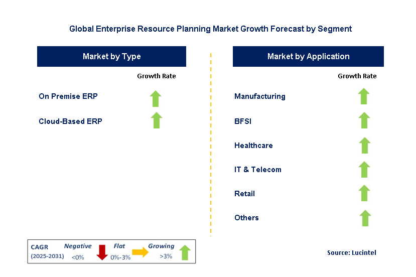 Enterprise Resource Planning Market by Segment
