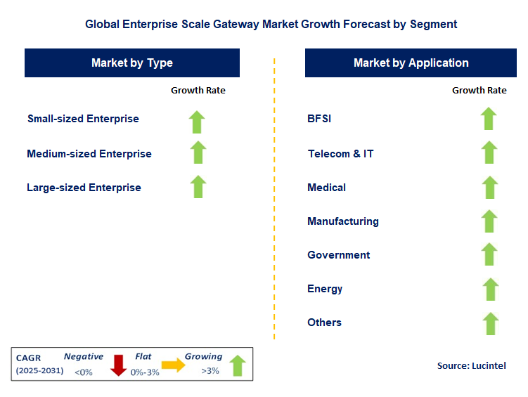 Enterprise Scale Gateway Market by Segment