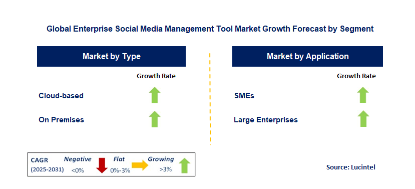 Enterprise Social Media Management Tool Market by Segment