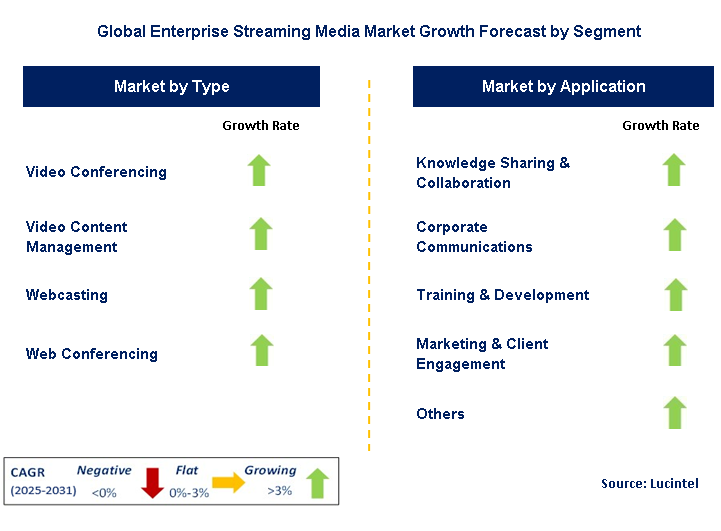 Enterprise Streaming Media Market by Segment
