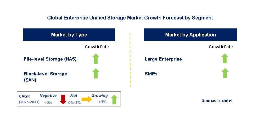 Enterprise Unified Storage Market by Segment