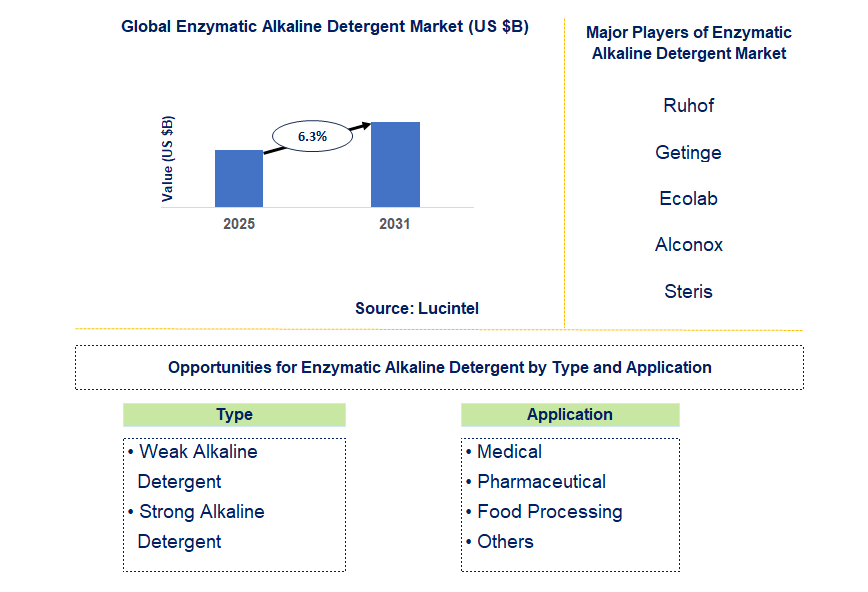 Enzymatic Alkaline Detergent Market Trends and Forecast