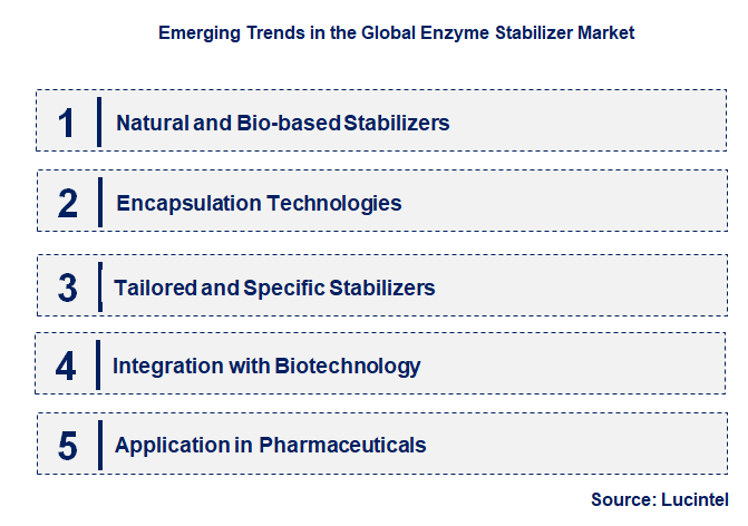 Emerging Trends in the Enzyme Stabilizer Market