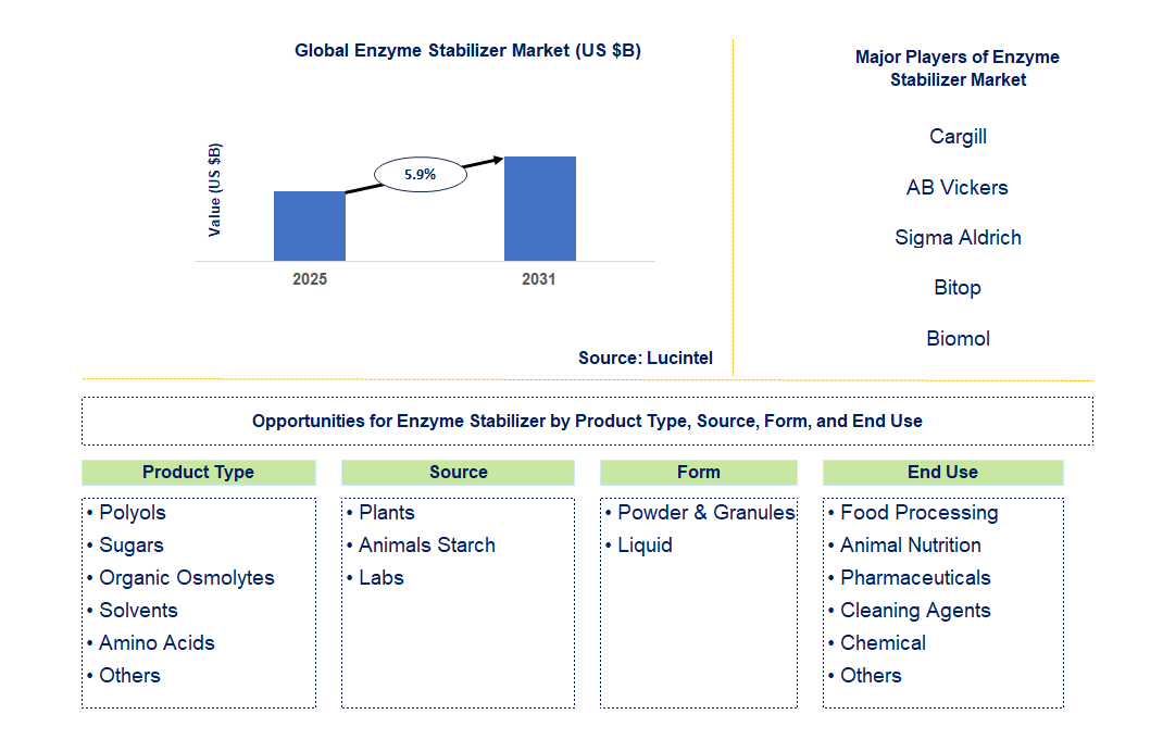 Enzyme Stabilizer Market Trends and Forecast