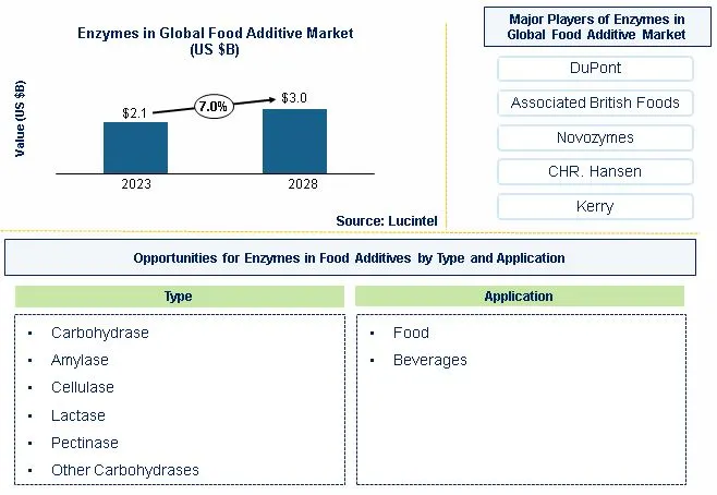 Enzymes in the Global Food Additive Market by Type, and Application