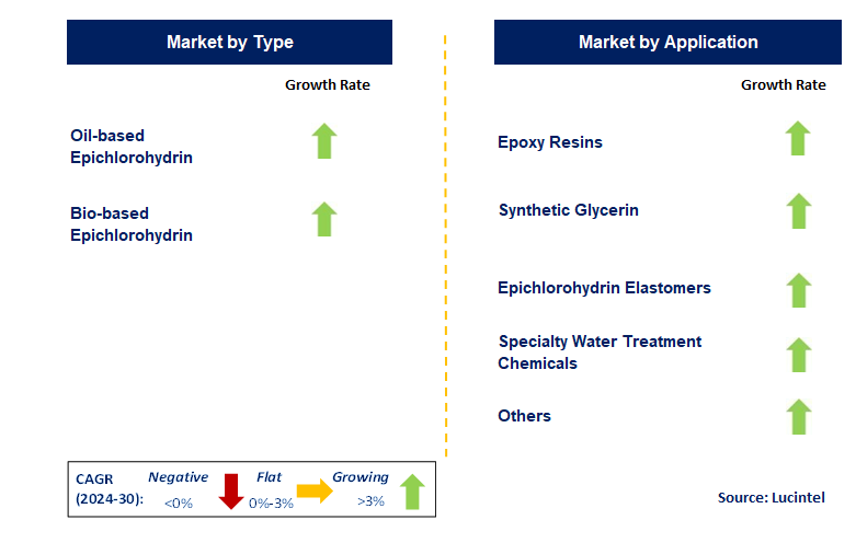 Epichlorohydrin by Segment