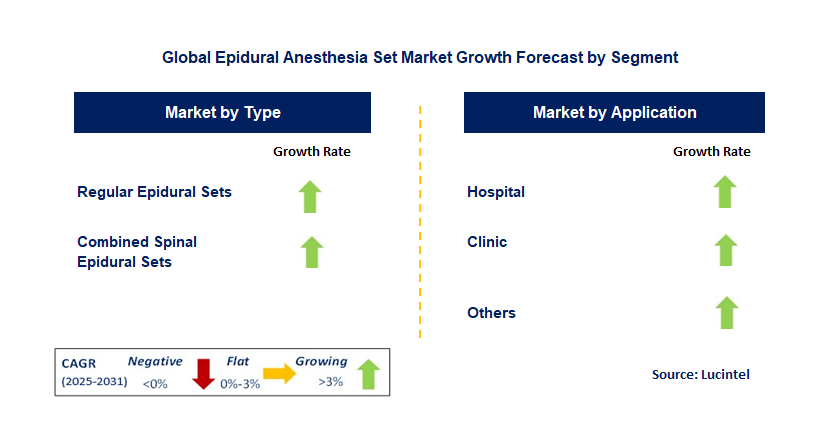 Epidural Anesthesia Set Market by Segment