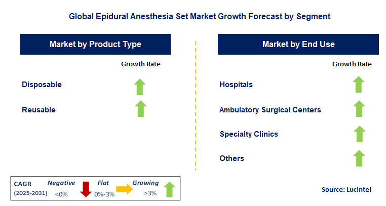 Epidural Anesthesia Set Market by Segment