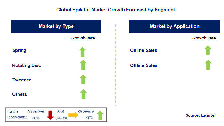 Epilator Market by Segment