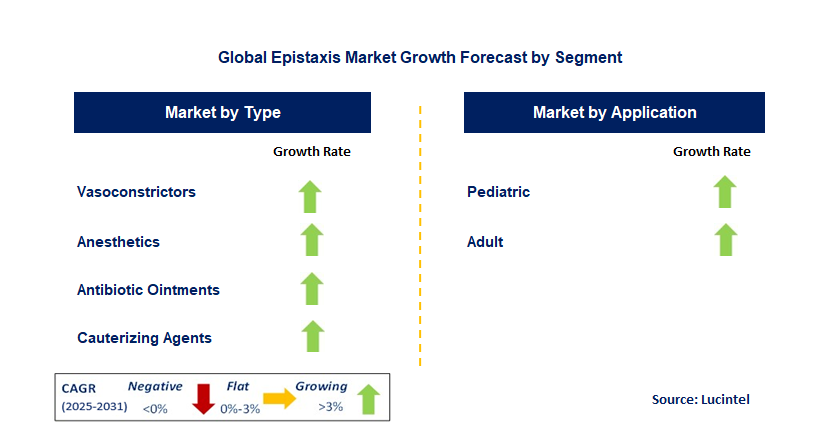 Epistaxis Market by Segment