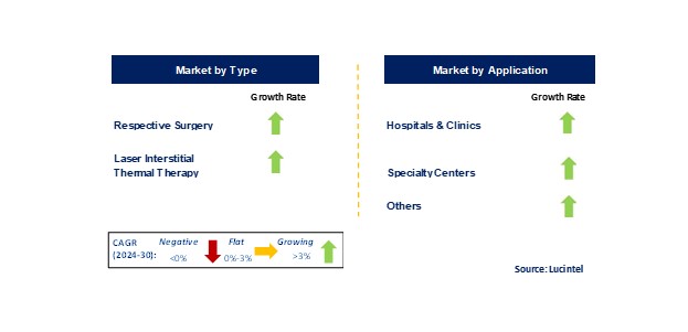 Epliepsy Surgery Market by Segments