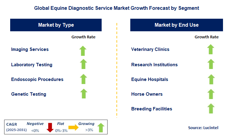 Equine Diagnostic Service Market by Segment