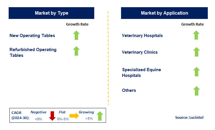 Equine Operating Table by Segment