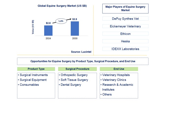 Equine Surgery Trends and Forecast