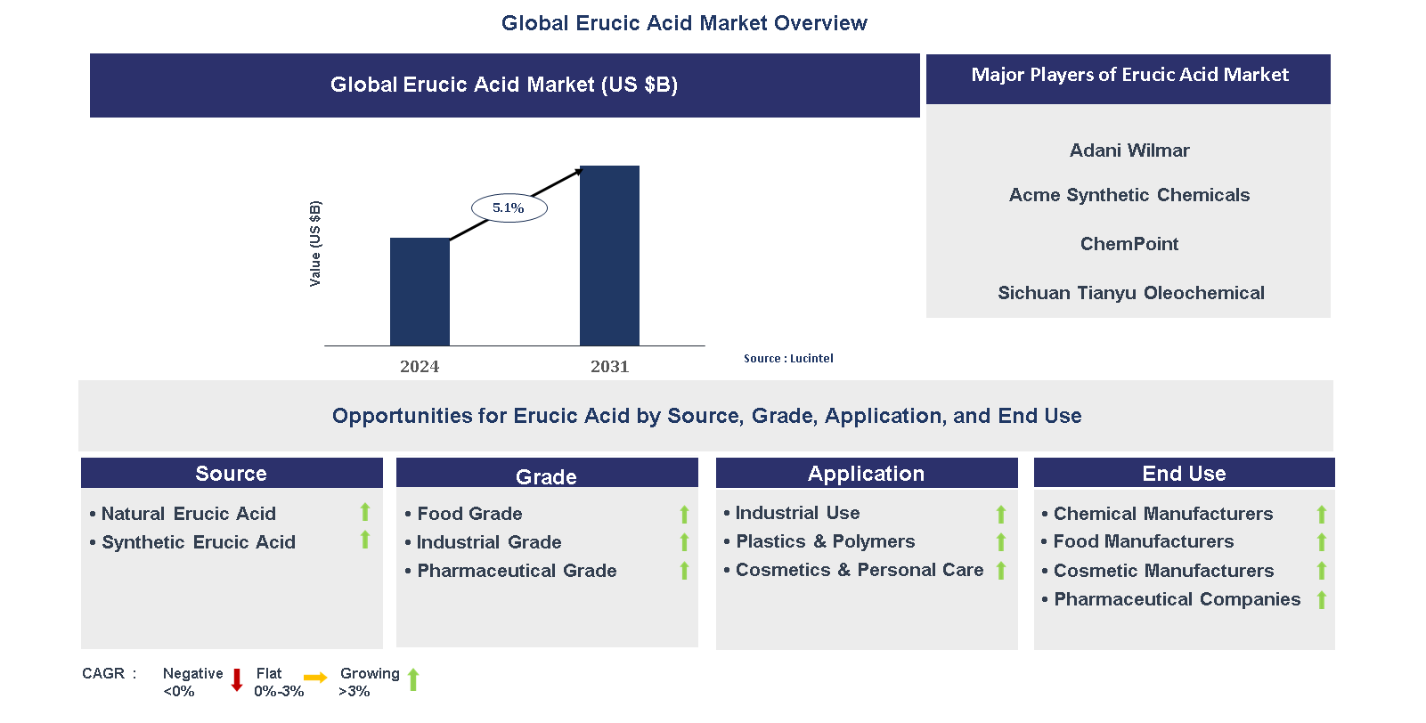 Erucic Acid Market Trends and Forecast