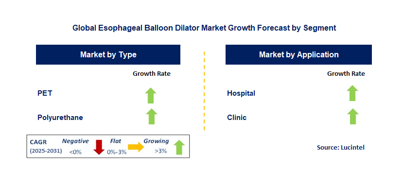 Esophageal Balloon Dilator Market by Segment