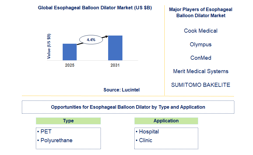 Esophageal Balloon Dilator Market Trends and Forecast