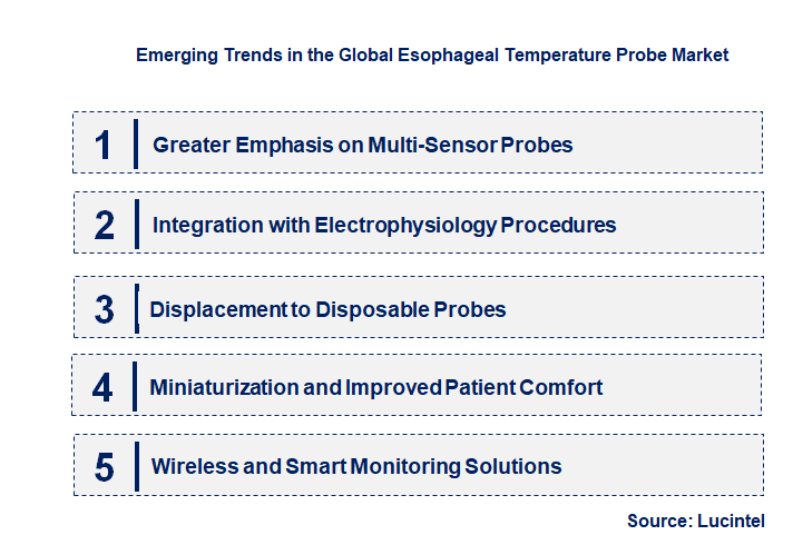 Emerging Trends in the Esophageal Temperature Probe Market