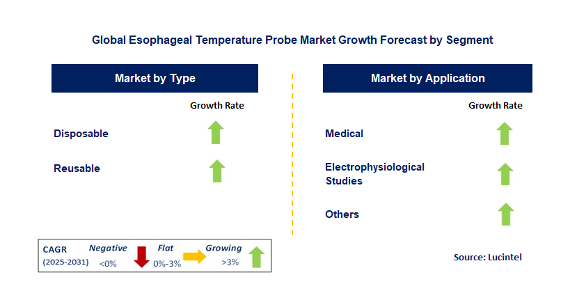 Esophageal Temperature Probe Market by Segment