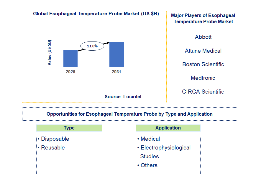 Esophageal Temperature Probe Market Trends and Forecast