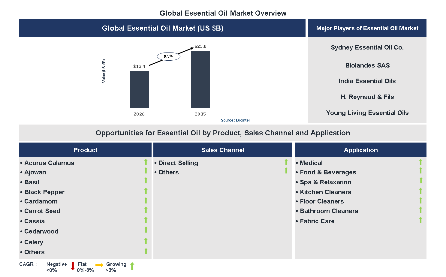 Essential Oil Market Trends and Forecast
